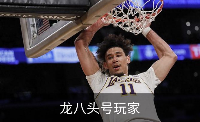 龙八头号玩家品牌故事
